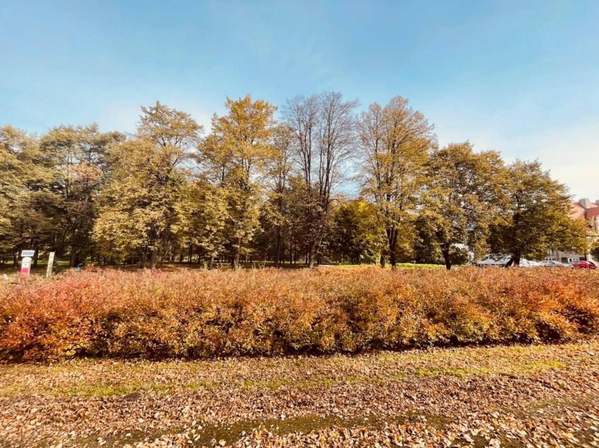 Apartamenty Ktw Debowe Tarasy Katowice Luaran gambar